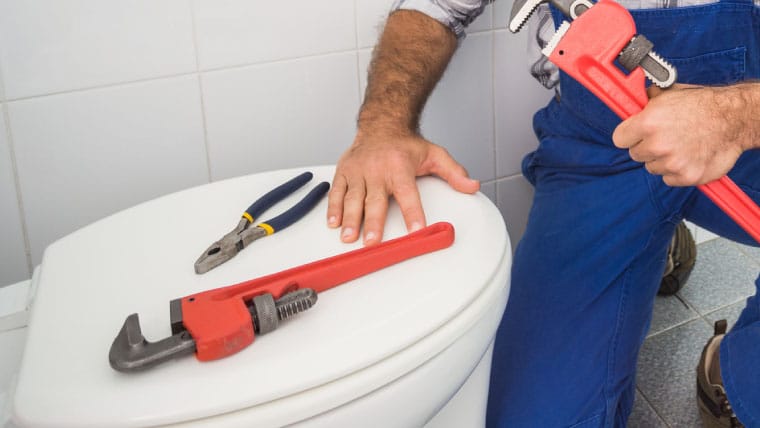 Toilet Repair 53237632729