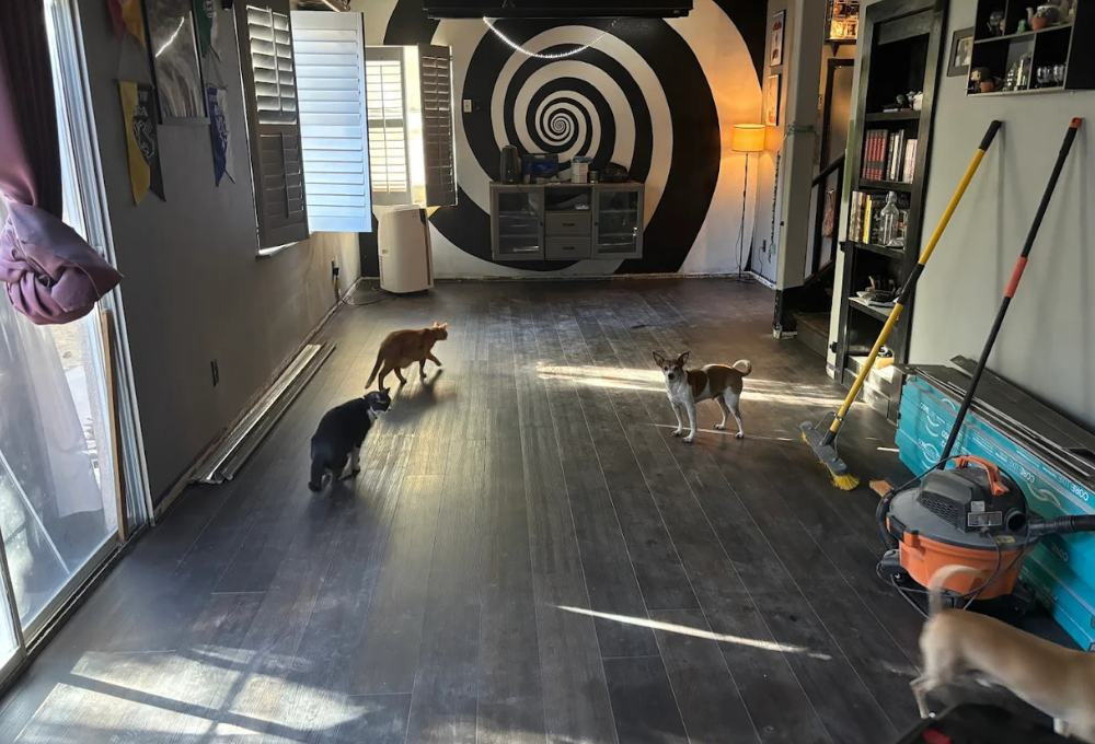 Best Temperature to Set Your Heater in Las Vegas Winters