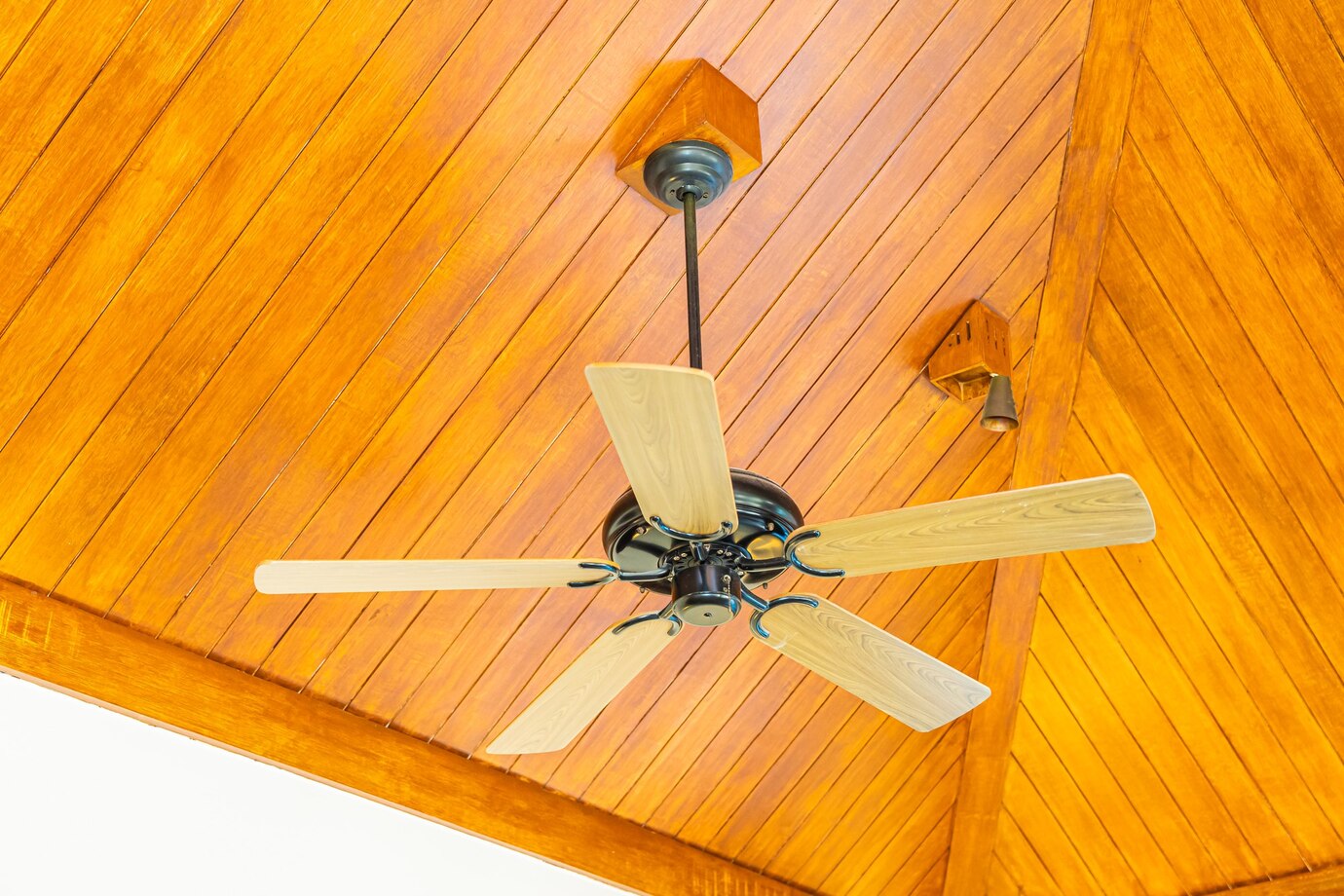 ceiling fan